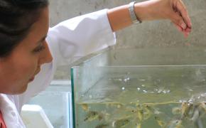 Investigadores de 6 países analizarán la industria acuícola en el XIX Congreso Ecuatoriano de Acuicultura